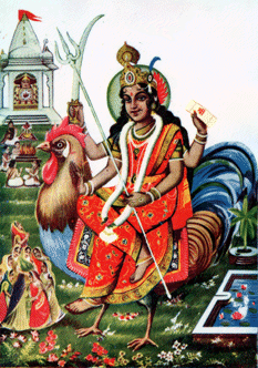 Mataji riding a cock. Contemporary image, (c) unknown but acknowledged